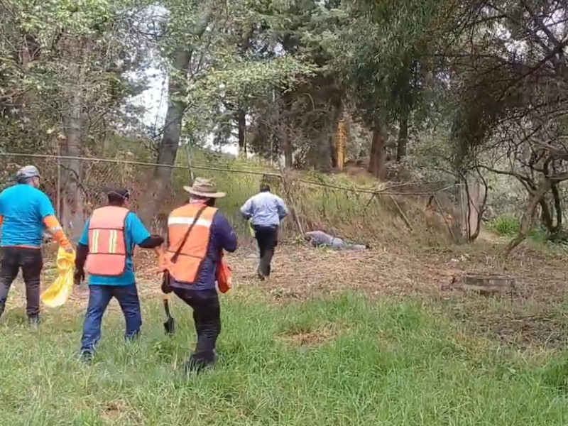 Durante jornada de limpieza voluntarios son atacados por avispas