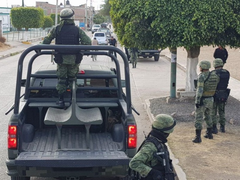 Durante noviembre Ejercito destruyó tres plantíos de marihuana