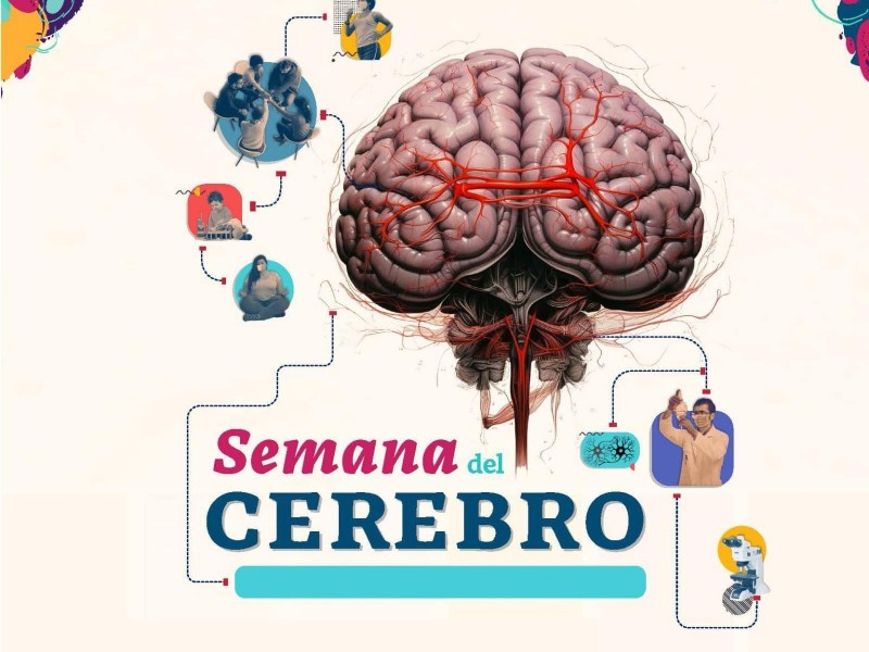 Durante Semana del Cerebro, urgen atender  estrés y ansiedad