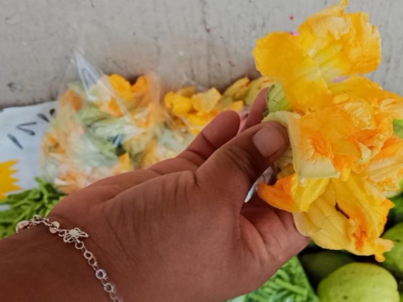 Día de la Nación Pluricultural: saberes del campo y herbolaria tradicional