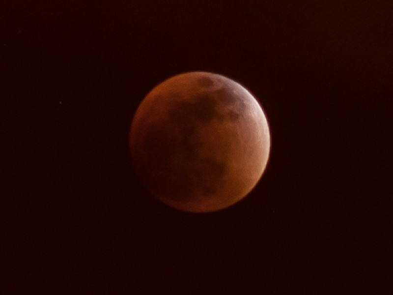 Eclipse Total de Sangre fue visto por miles