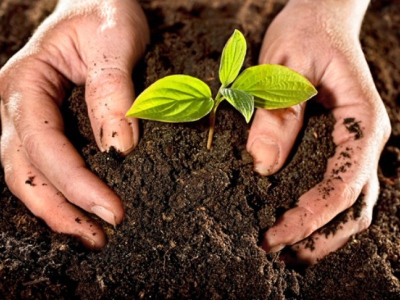 EcoAgro exhorta a productores a voltear hacia una agricultura sustentable