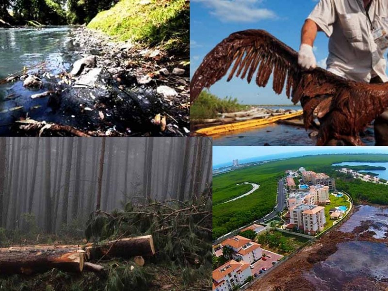 Ecocidios, desgracias ambientales que han dejado huella en México