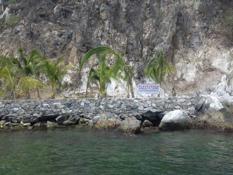 Ecocidios silenciados en Zihuatanejo: desarrollo vs. medio ambiente