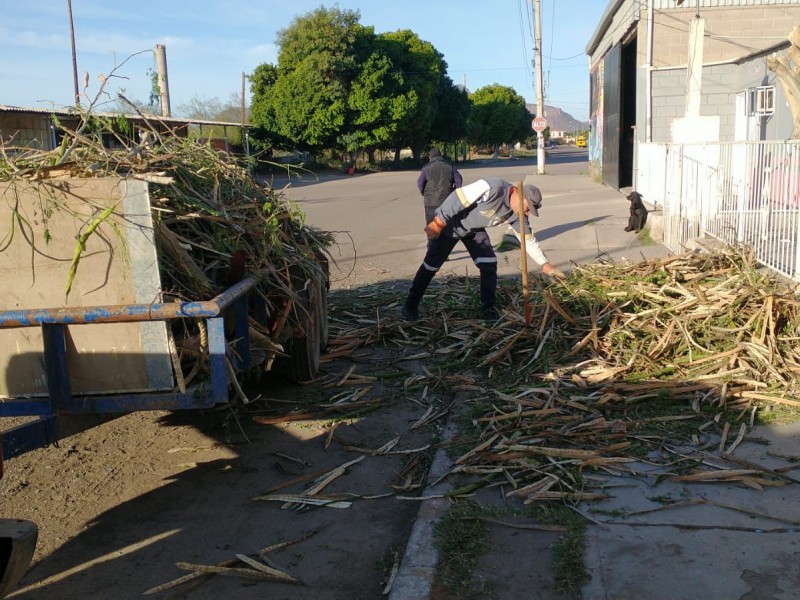 Ecología atiende demandas ciudadanas en la ciudad Jardín