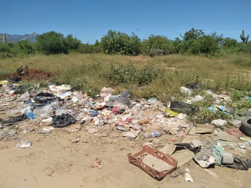 Ecología y Zofemat trabajarán  para la limpieza de arroyos