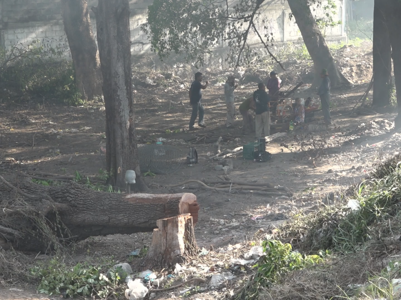 Ecologistas exigen intervención de PROFEPA ante daño ambiental en Tehuantepec 