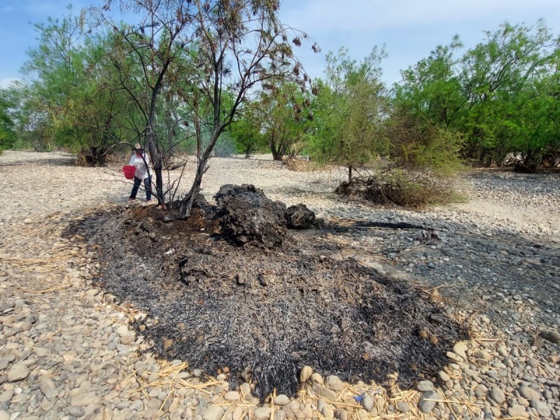Ecologistas lamentan quema de árboles en río Tehuantepec