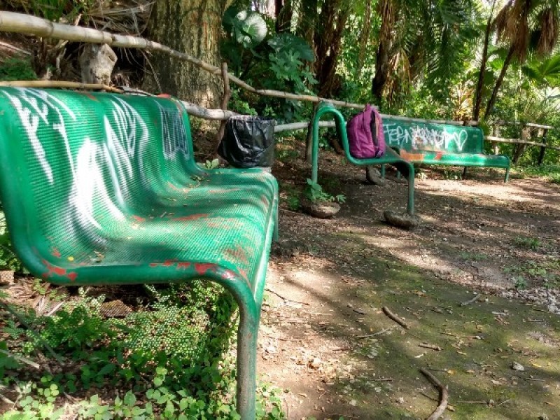 Ecologistas pintan bancas grafiteadas del zanjón de San Juan