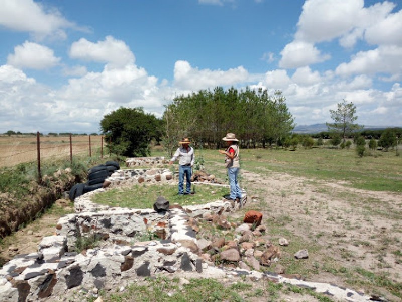 Ecoluna ejemplo de comunidad sustentable