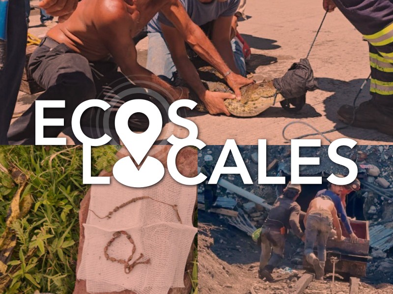 Ecos Locales: Buscadoras Encuentras Huesos, Rescatan Cocodrilo, Desabasto de Medicamentos