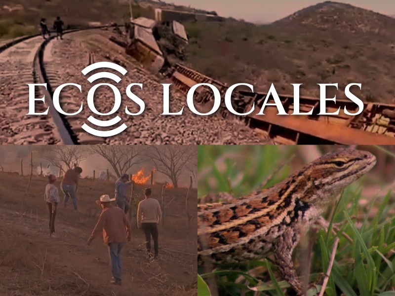 Ecos Locales: Descubren Especie, Tren descarrilado, Despojo de Tierras…