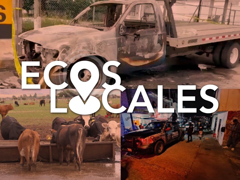 Ecos Locales: Gusano Barrenador, Ataque Armado, Ofertas Laborales Falsas, Bombas Molotov