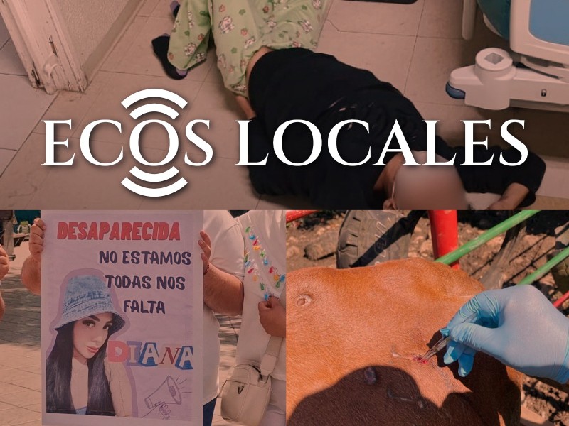 Ecos Locales: Localizan desaparecida, Gusano Barrenador, Denuncian hospital, Protección animal