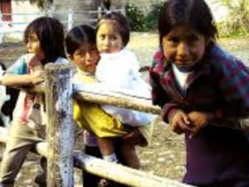 Edomex concentra más de 417 mil hablantes de lenguas indígenas