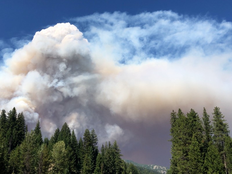EDOMEX en acciones preventivas ante comienzo de temporada de incendios forestales