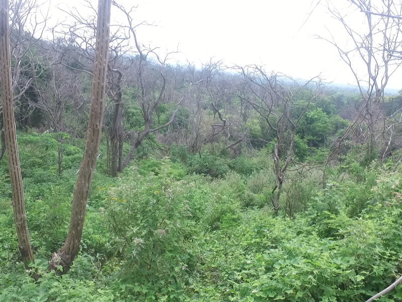 Educación ambiental, necesaria para conservación de reservas naturales