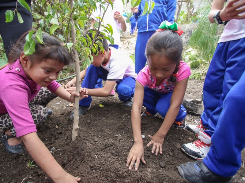 Educación ambiental será obligatoria en escuelas de Nayarit