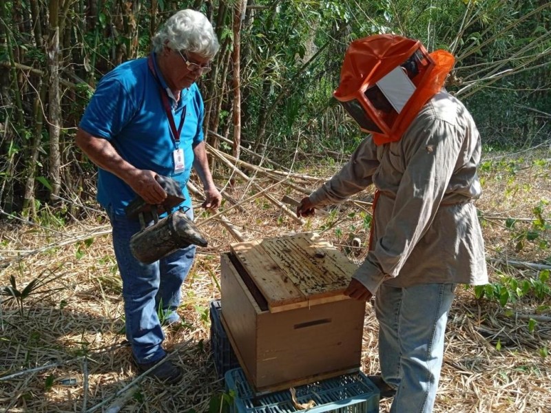 Educan a niños tihuatecos sobre importancia de las abejas