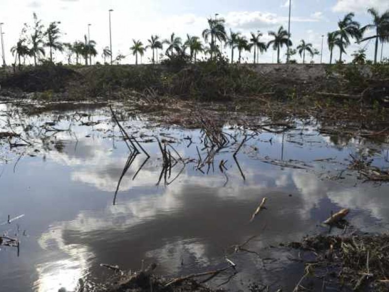 Efectos del cambio climático en Nayarit