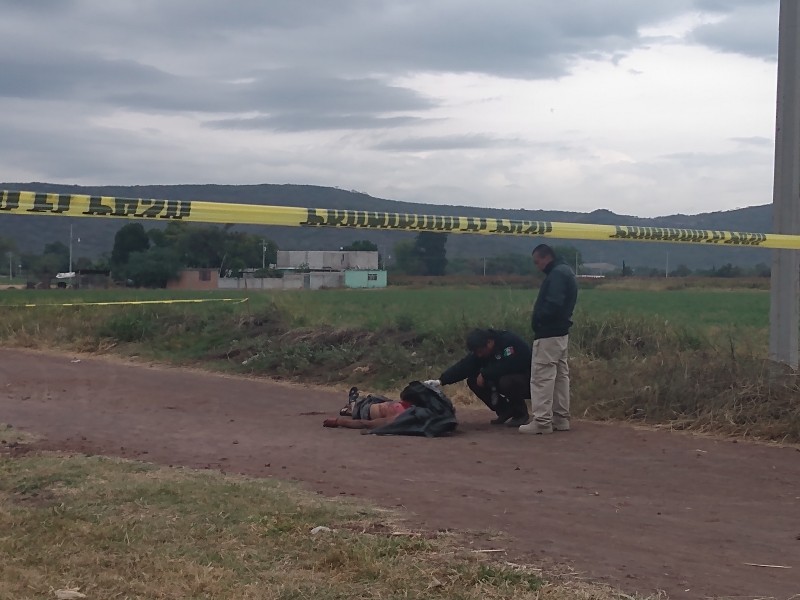 Ejecutado en 4 de Altamira