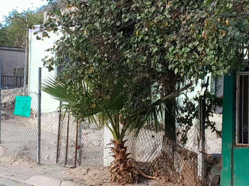 Ejecutan a mujer en la colonia Palo Verde