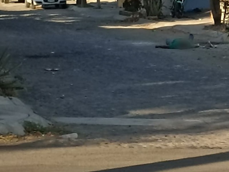 Ejecutan a un hombre, ahora fue en el Yaqui