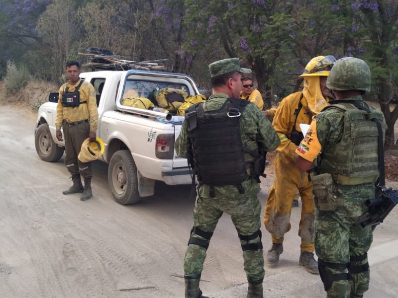 Ejército aplica plan DNIII en La Primavera