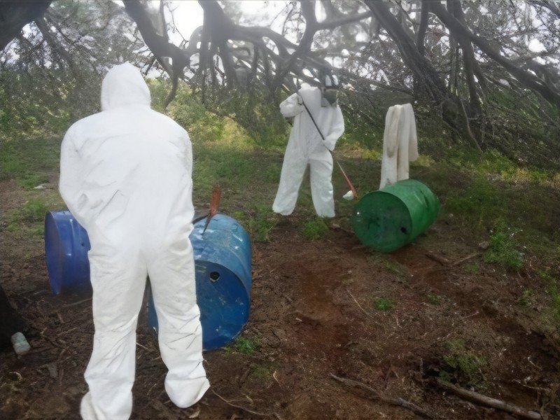 Ejército Mexicano aseguró 9 áreas para elaboración de drogas en Sinaloa