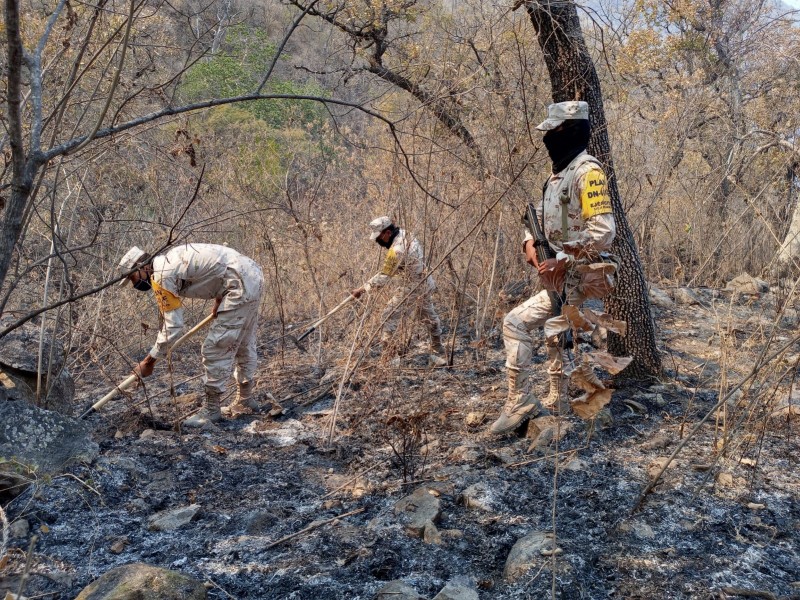 Ejército Mexicano trabaja en sofocar incendio forestal en Álamos