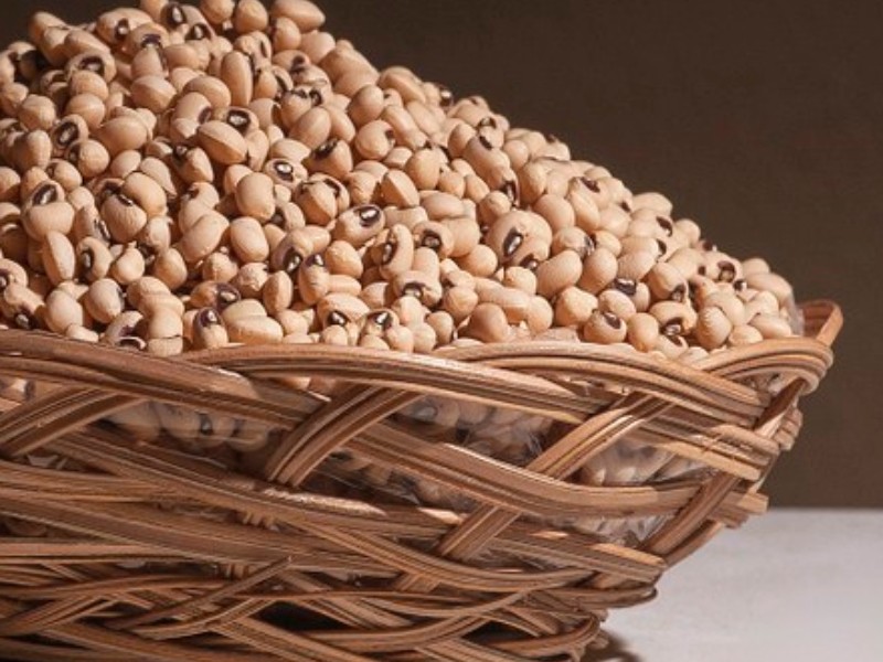 Productores logran acuerdo federal para vender 800 toneladas de frijol Yurimuni