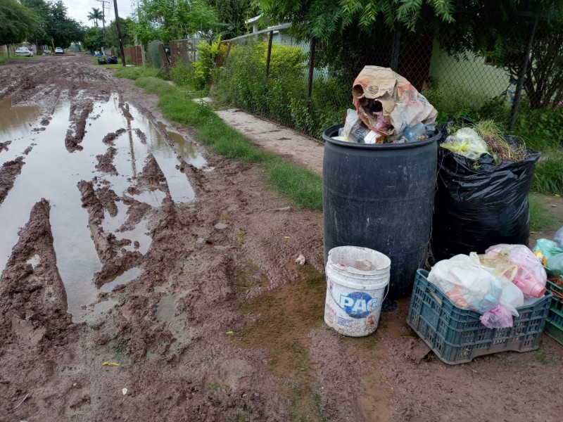 Ejido Mochis en completo abandono por falta de servicios públicos