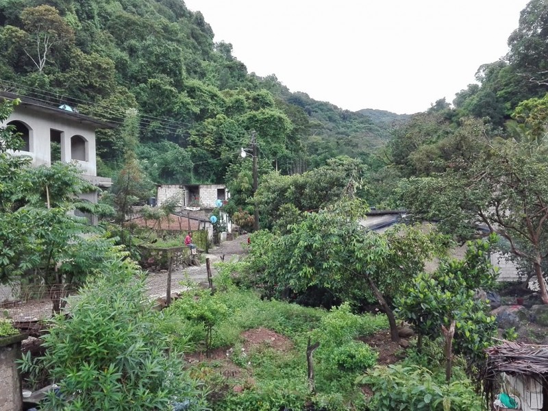 Ejidos de Xalisco reciben recurso forestal