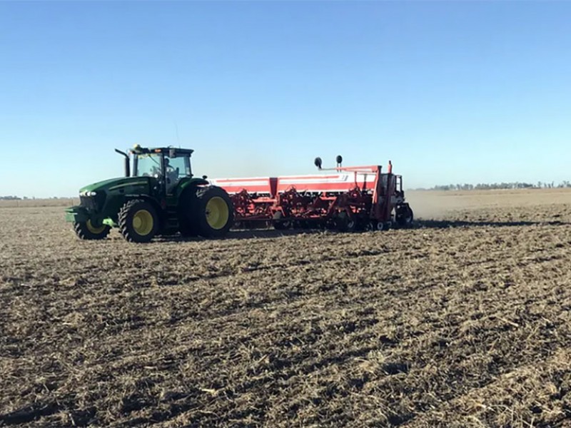 El 20 de noviembre comienza la siembra de trigo en El Carrizo