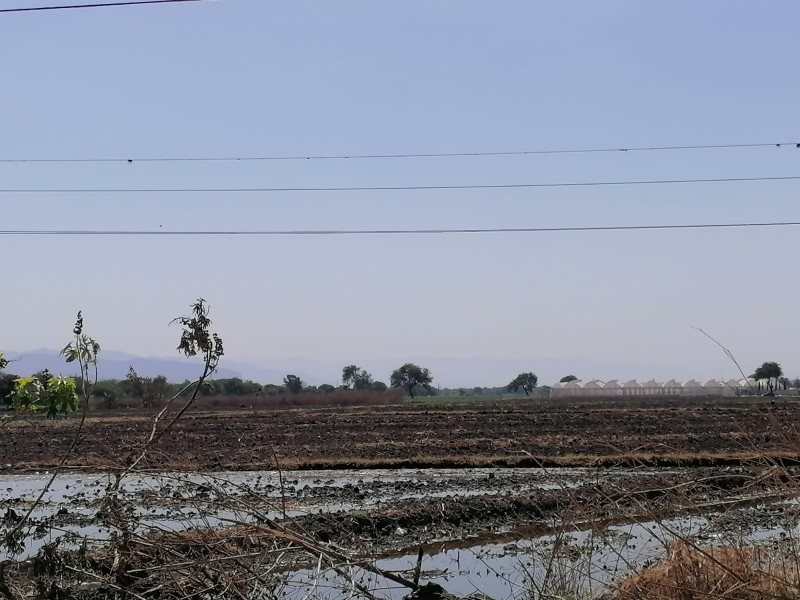 El 50% de productores comienza preparaciones para siembra de temporal.