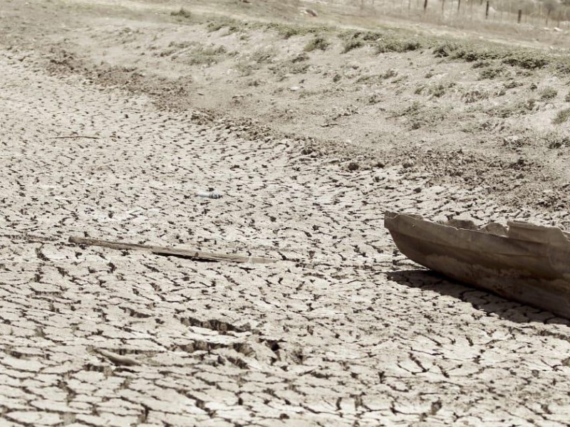 El 94.4% de Sonora tiene problemas de sequía
