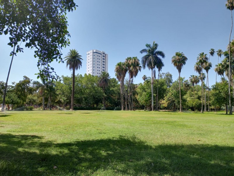 ¡El agua es vida! Lluvias embellecen el parque Sinaloa