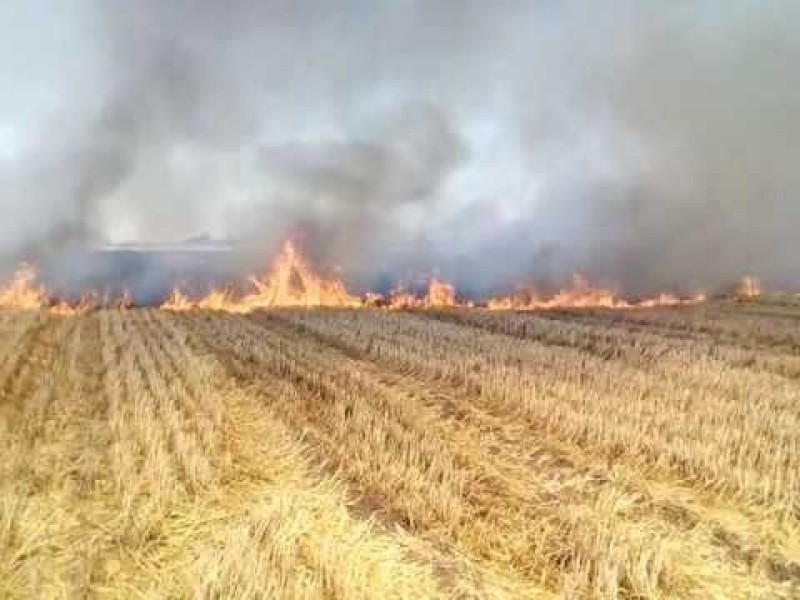 ¿El aire que respitamos en Cajeme está contaminado?