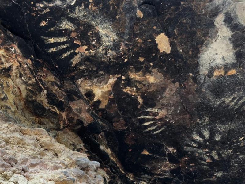 El arte rupestre de 10 mil años en Santa María Coapan