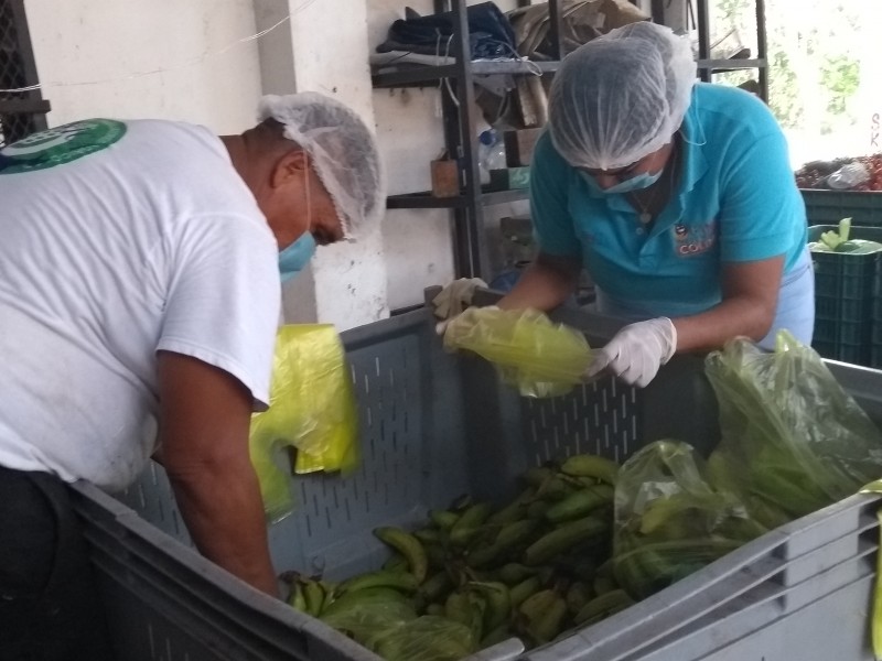 El Banco de Alimentos apoya 5 mil familias