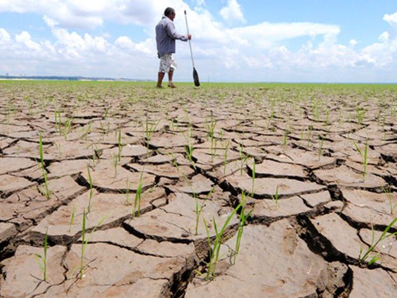 El cambio climático amenaza la comida del futuro