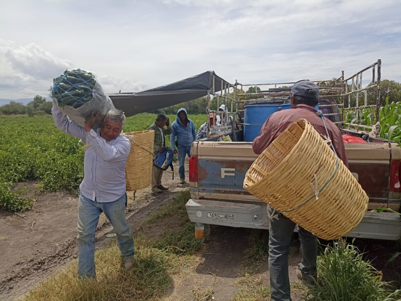 El campo, trabajo duro que nos ha dado todo