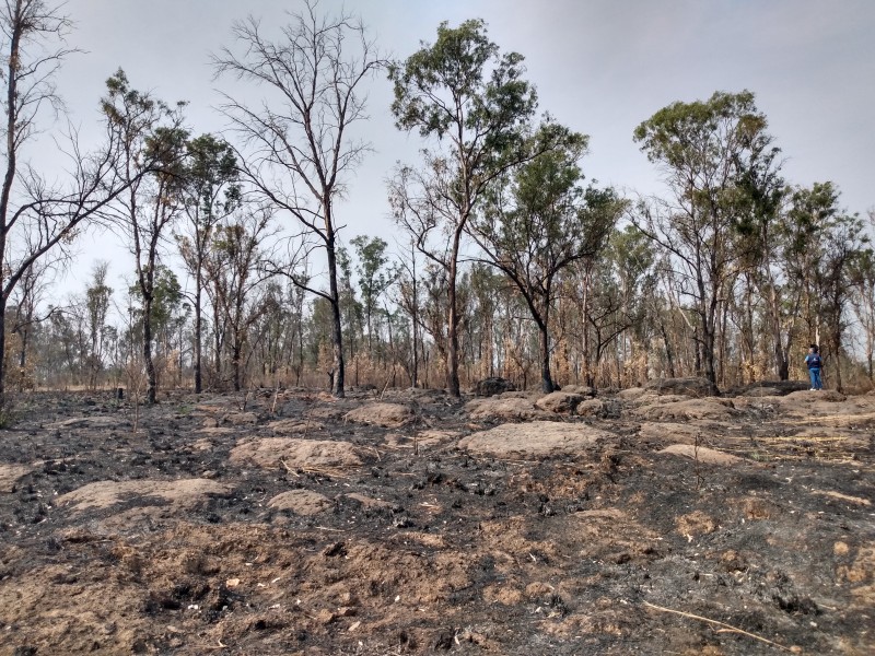 El Centinela registra 9 incendios en este año