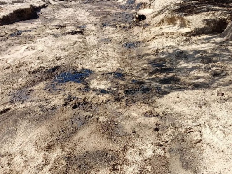 “El contacto de hidrocarburos con la tierra causa infertilidad” afirma experto