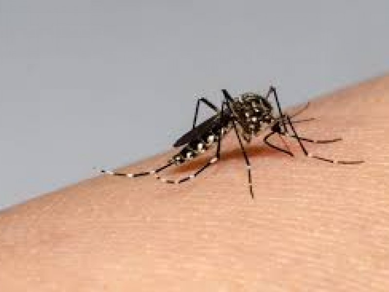 El dengue es un problema de salud pública