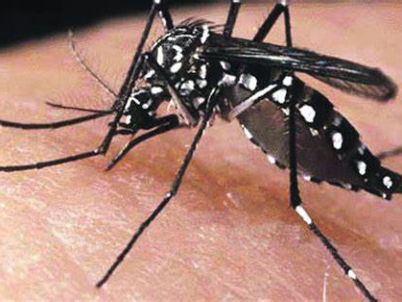 El dengue se puede prevenir manteniendo los hogares limpios
