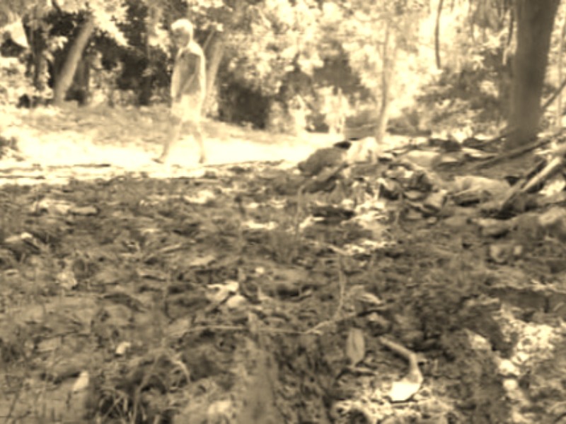 El eco emocional que dejan los desastres naturales