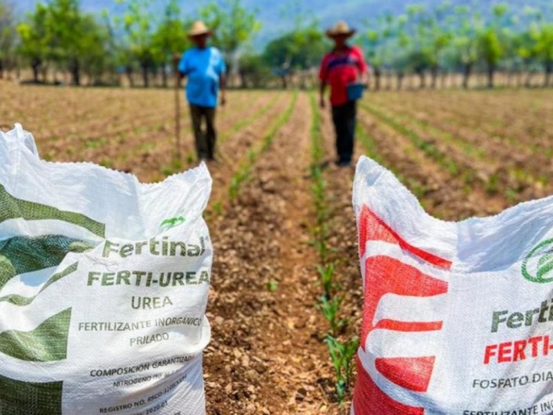 El fertilizante no llega a todos, se quejan campesinos