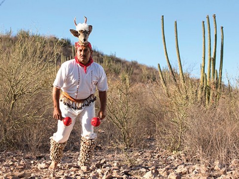 El Fuerte será sede del Encuentro Multicultural Yoreme