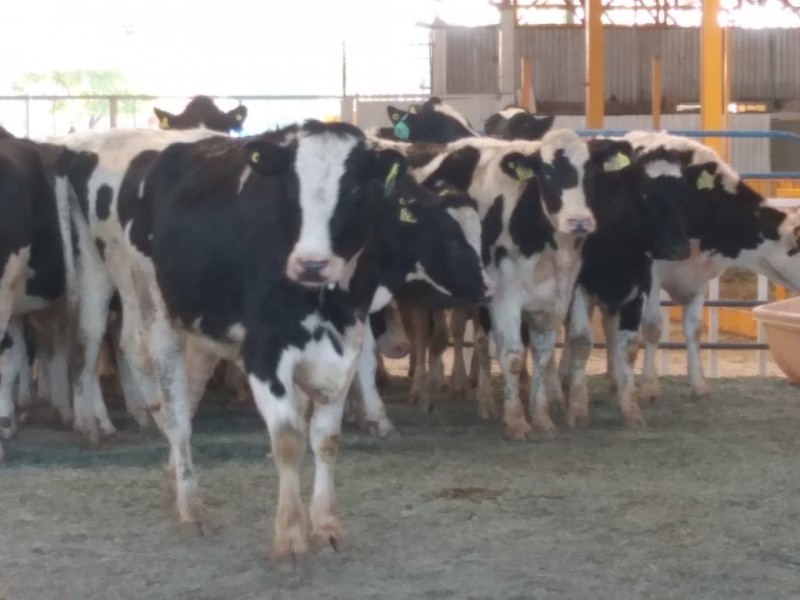 El futuro de León está en el campo